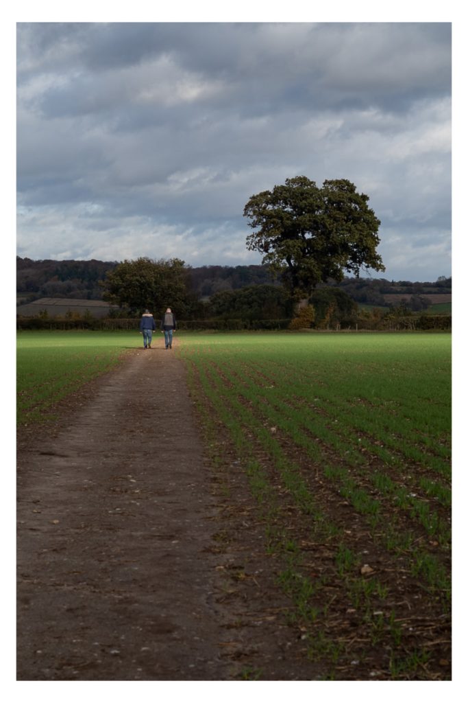 Sun Spotlight near Henley on Thames